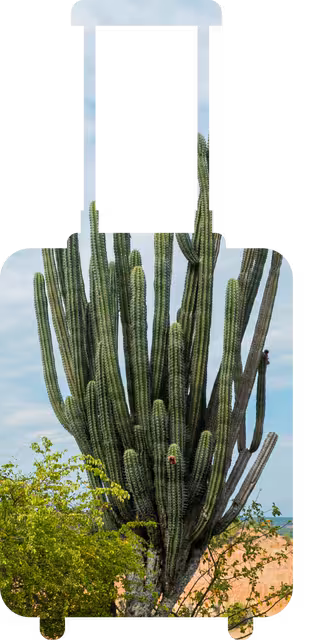 Visita el desierto en el Huila Símbolo de una maleta mostrando el destino turístico de en el Huila