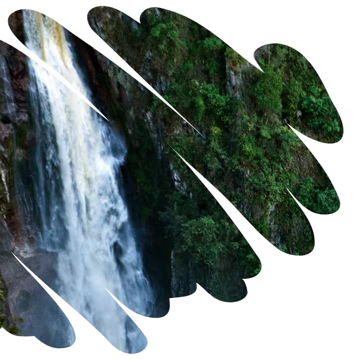 Cascada El Salto del Mortiño, donde el agua cae como un velo de novia entre la exuberante vegetación